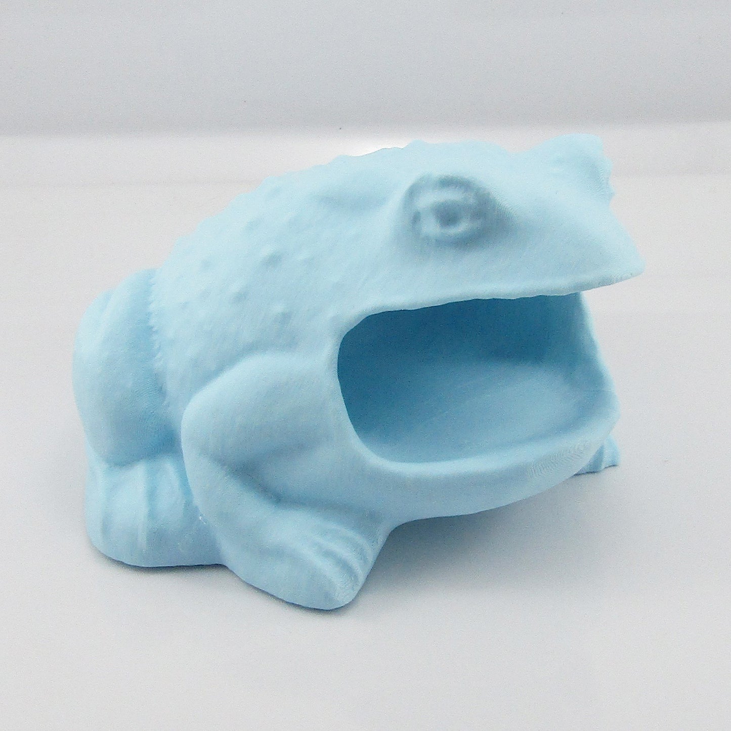 Bullfrog Soap Holder Toad Decor in your choice of colours