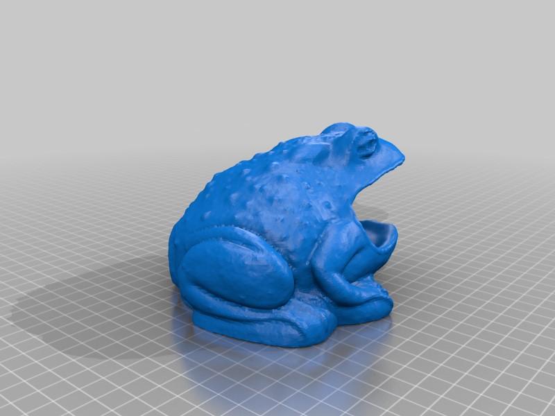 Bullfrog Soap Holder Toad Decor in your choice of colours